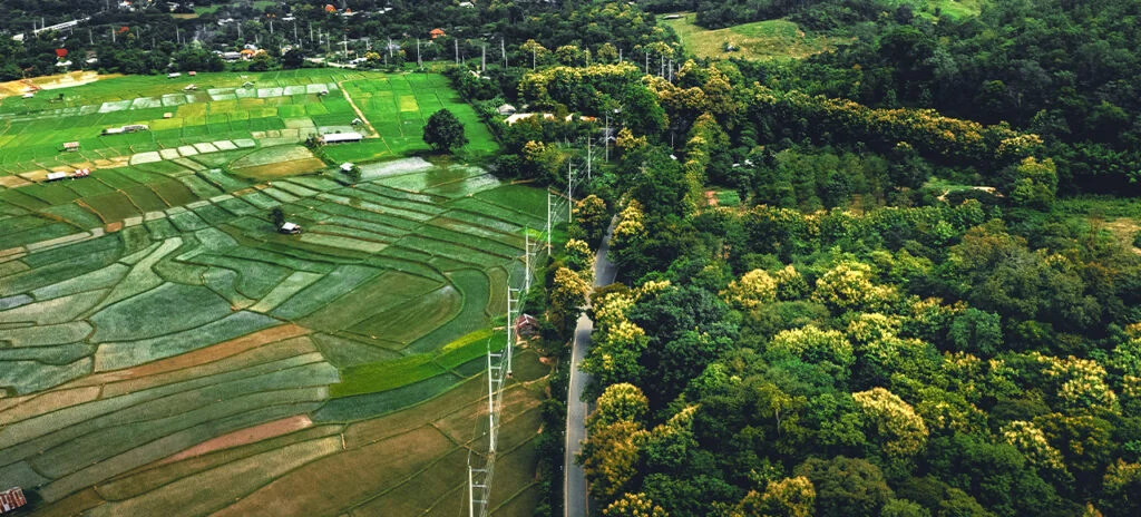 Vista aérea de áreas productivas y vegetación